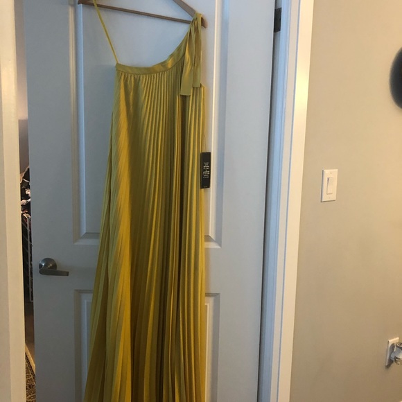 NWT BCBGMAXAZRIA “Abee” Pleated Maxi Dress – Yellow – Size XXS - Picture 13 of 16